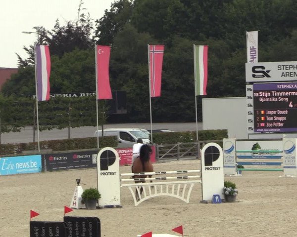 Gold +Cyclus Jonge Paarden in Lier (BEL) 2020