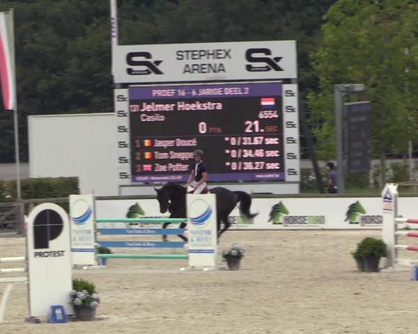 Gold +Cyclus Jonge Paarden in Lier (BEL) 2020