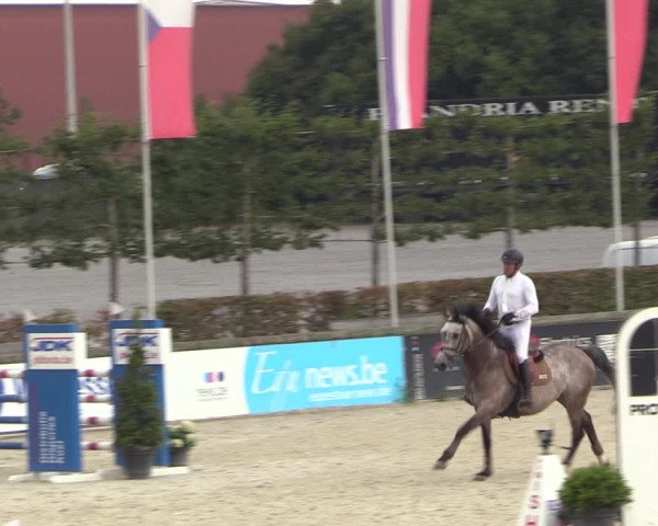 Gold +Cyclus Jonge Paarden in Lier (BEL) 2020