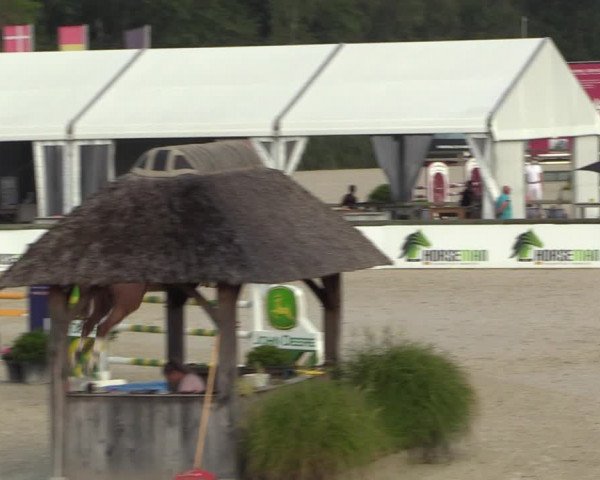 Gold +Cyclus Jonge Paarden in Lier (BEL) 2020
