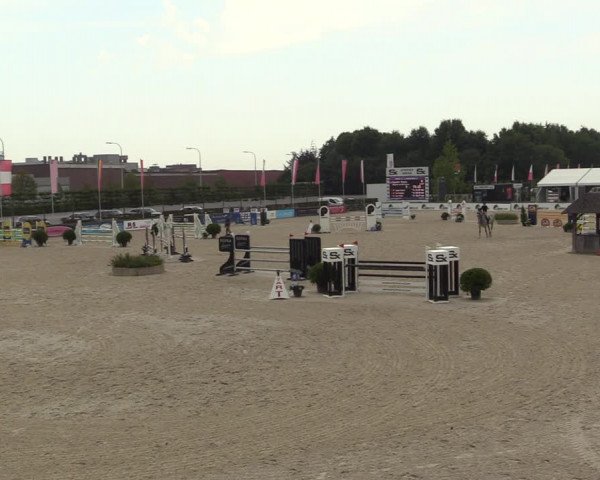 Gold +Cyclus Jonge Paarden in Lier (BEL) 2020