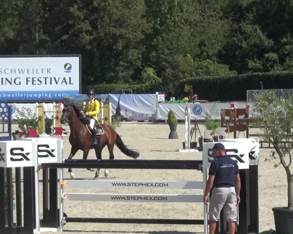 FEI Reitturnier Eschweiler (GER) 2020