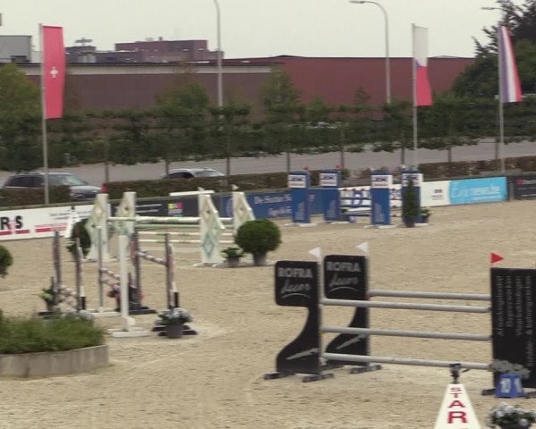 Gold +Cyclus Jonge Paarden in Lier (BEL) 2020