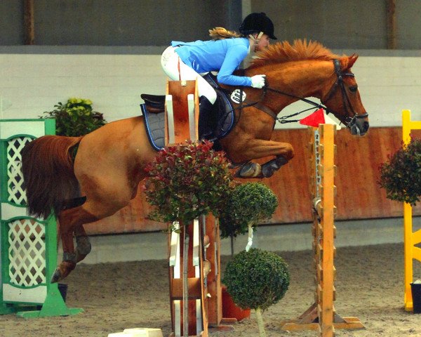 jumper Zentis (German Riding Pony, 2004, from Rambo)