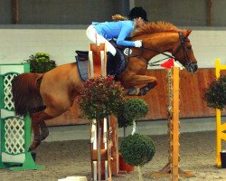 jumper Zentis (German Riding Pony, 2004, from Rambo)