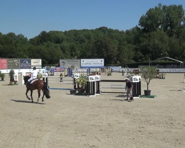 FEI Reitturnier Eschweiler (GER) 2020