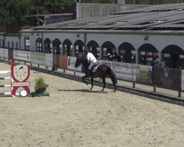 FEI Reitturnier Eschweiler (GER) 2020