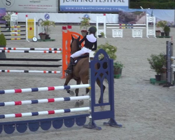 FEI Reitturnier Eschweiler (GER) 2020