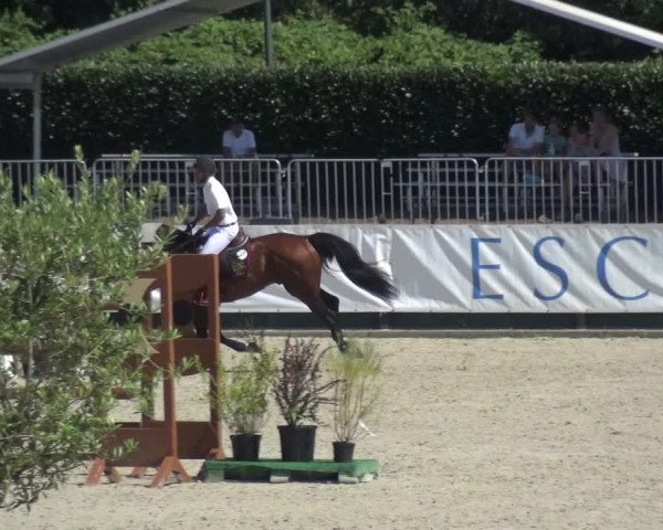 FEI Reitturnier Eschweiler (GER) 2020