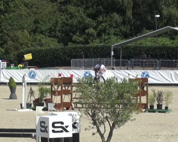 FEI Reitturnier Eschweiler (GER) 2020