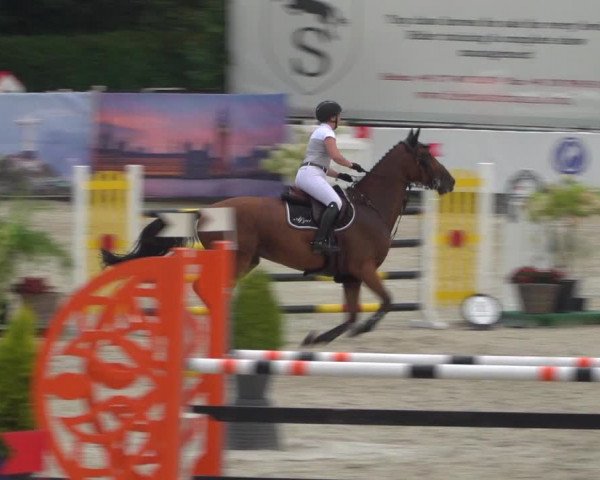 FEI Reitturnier Eschweiler (GER) 2020