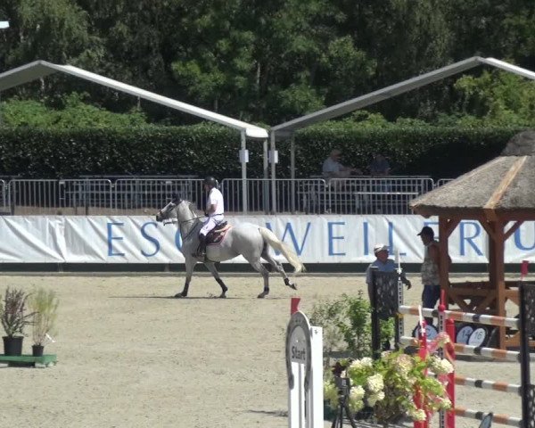 FEI Reitturnier Eschweiler (GER) 2020