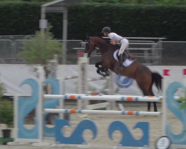 FEI Reitturnier Eschweiler (GER) 2020
