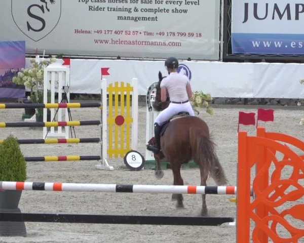 FEI Reitturnier Eschweiler (GER) 2020
