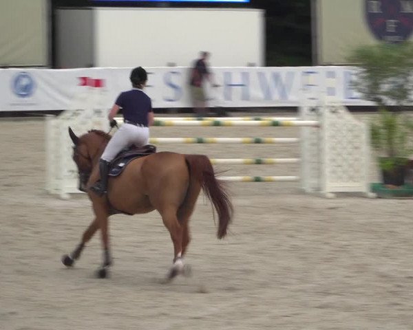 FEI Reitturnier Eschweiler (GER) 2020