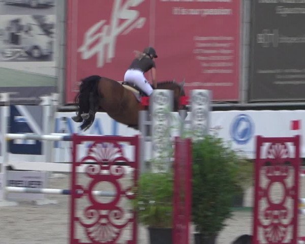 FEI Reitturnier Eschweiler (GER) 2020