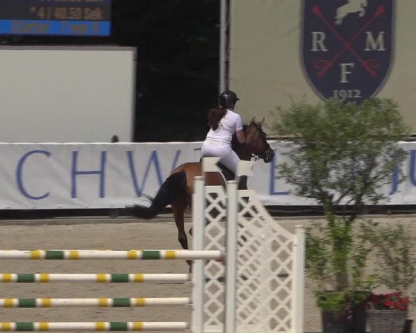 FEI Reitturnier Eschweiler (GER) 2020