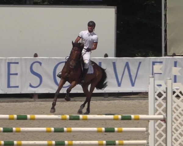 FEI Reitturnier Eschweiler (GER) 2020