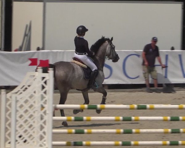 FEI Reitturnier Eschweiler (GER) 2020