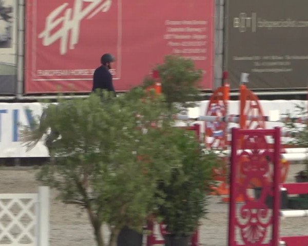 FEI Reitturnier Eschweiler (GER) 2020