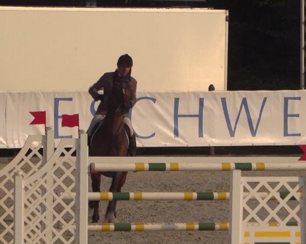 FEI Reitturnier Eschweiler (GER) 2020