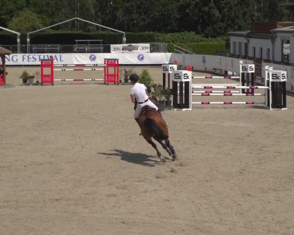 FEI Reitturnier Eschweiler (GER) 2020