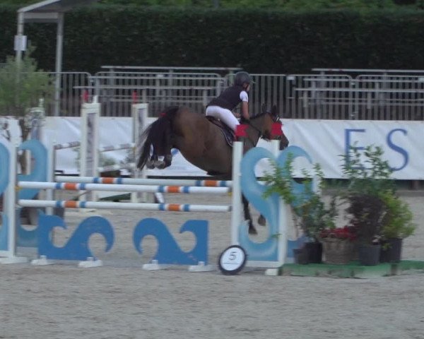 FEI Reitturnier Eschweiler (GER) 2020