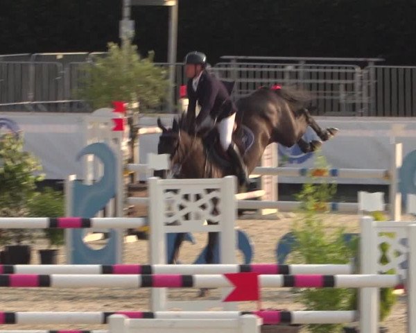 FEI Reitturnier Eschweiler (GER) 2020