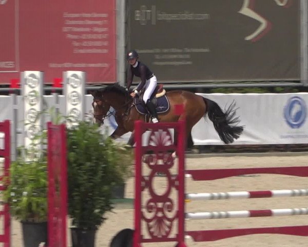 FEI Reitturnier Eschweiler (GER) 2020
