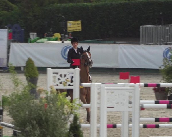 FEI Reitturnier Eschweiler (GER) 2020