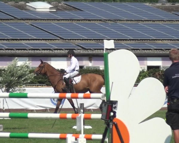FEI Reitturnier Eschweiler (GER) 2020