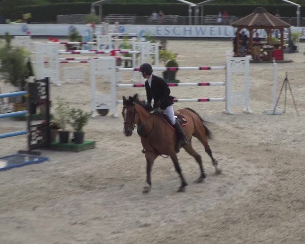 FEI Reitturnier Eschweiler (GER) 2020