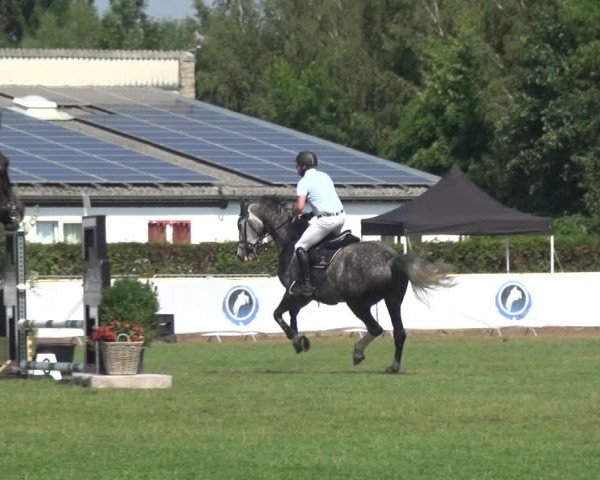 FEI Reitturnier Eschweiler (GER) 2020