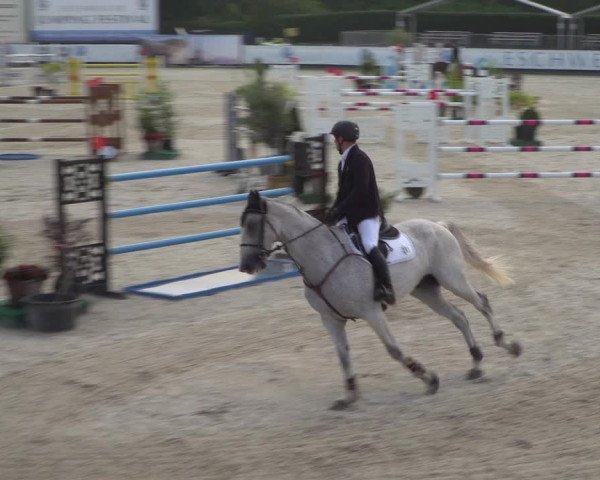 FEI Reitturnier Eschweiler (GER) 2020