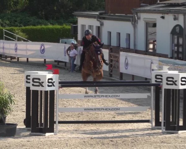 FEI Reitturnier Eschweiler (GER) 2020