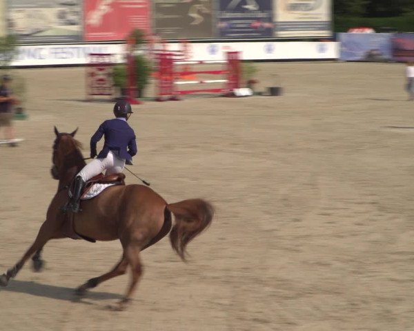 FEI Reitturnier Eschweiler (GER) 2020