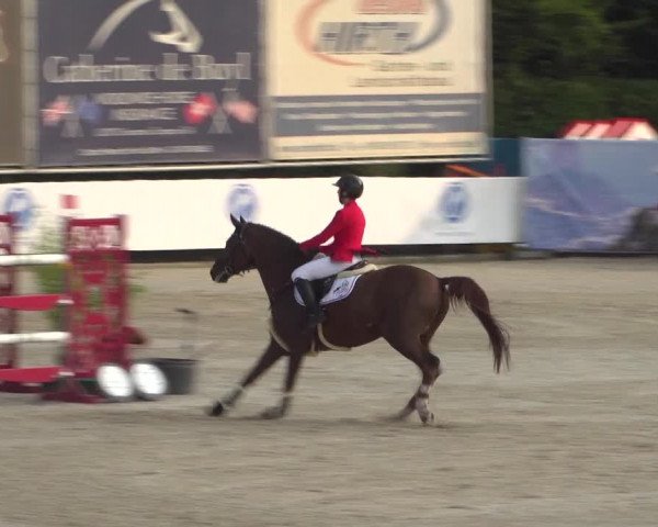 FEI Reitturnier Eschweiler (GER) 2020