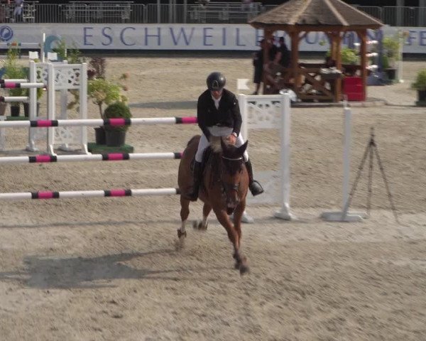 FEI Reitturnier Eschweiler (GER) 2020