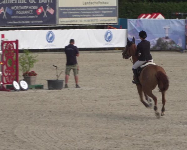 FEI Reitturnier Eschweiler (GER) 2020