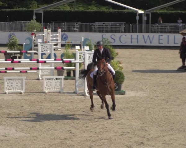 FEI Reitturnier Eschweiler (GER) 2020