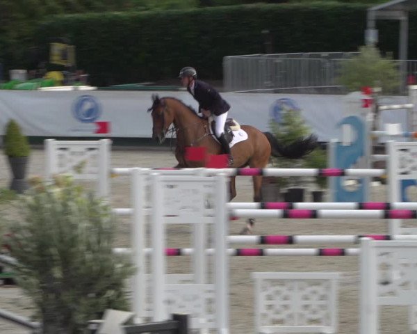 FEI Reitturnier Eschweiler (GER) 2020