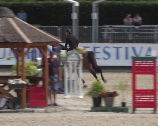 FEI Reitturnier Eschweiler (GER) 2020
