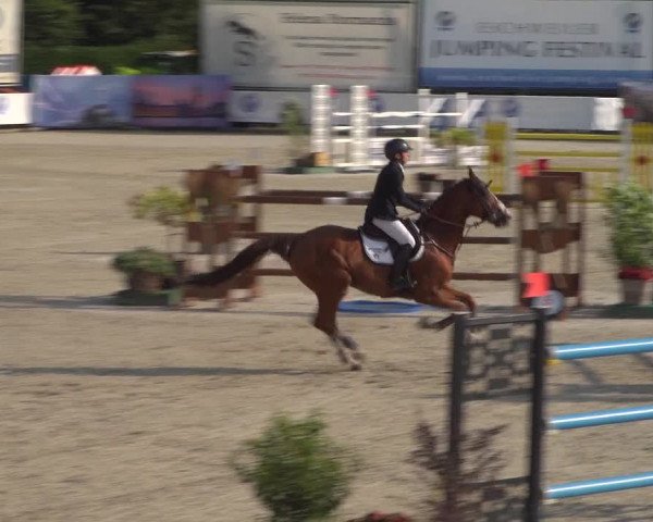 FEI Reitturnier Eschweiler (GER) 2020