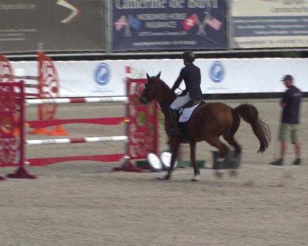FEI Reitturnier Eschweiler (GER) 2020