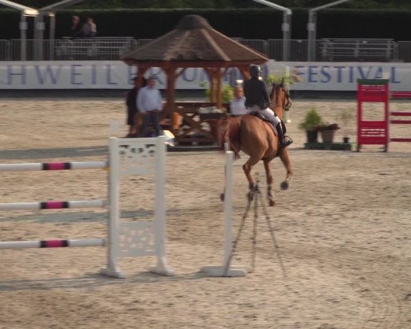 FEI Reitturnier Eschweiler (GER) 2020