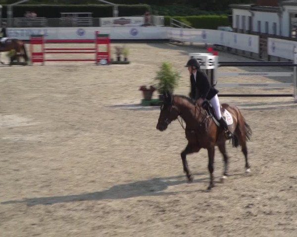 FEI Reitturnier Eschweiler (GER) 2020