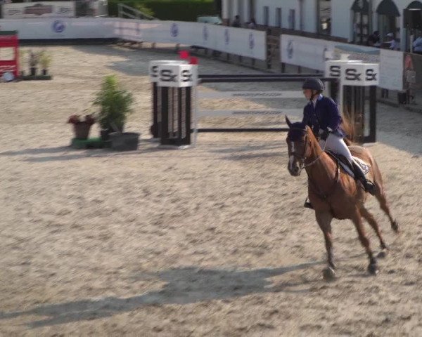 FEI Reitturnier Eschweiler (GER) 2020