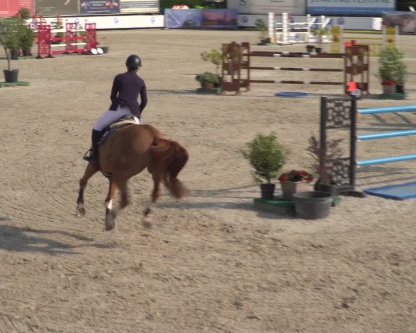 FEI Reitturnier Eschweiler (GER) 2020