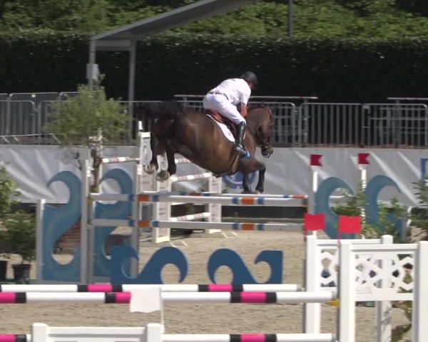 FEI Reitturnier Eschweiler (GER) 2020