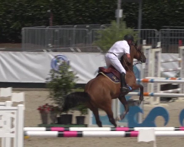 FEI Reitturnier Eschweiler (GER) 2020